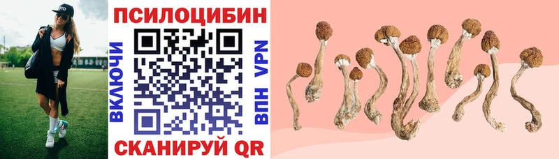 Галлюциногенные грибы Magic Shrooms  Купить закладки  Валдай 